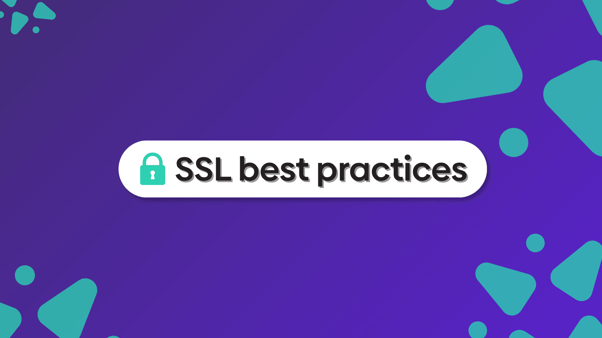 Graphic showing a search bar with text reading "SSL best practices" on it.