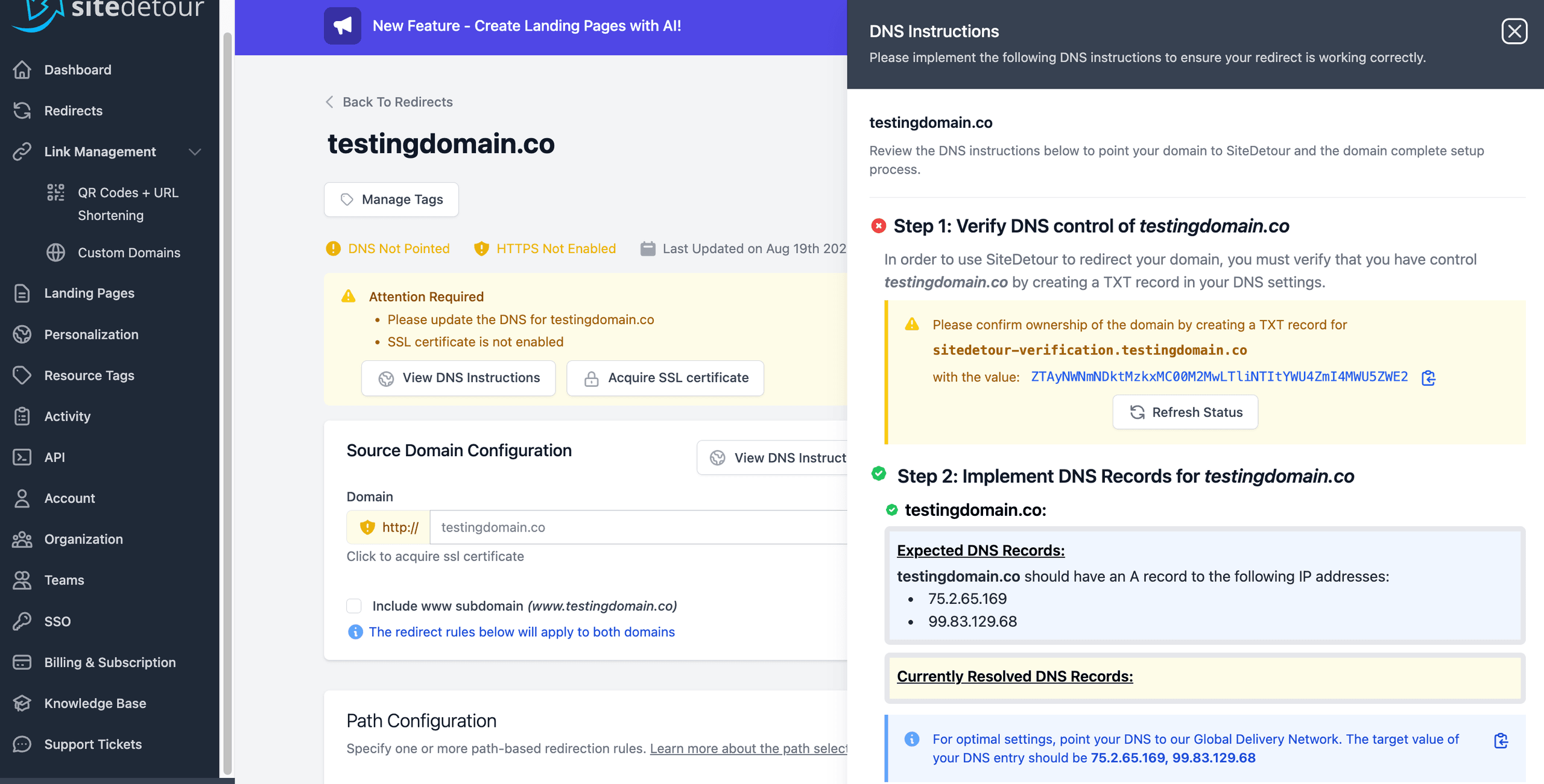 Screenshot showing a successfully configured DNS in SiteDetour platform.